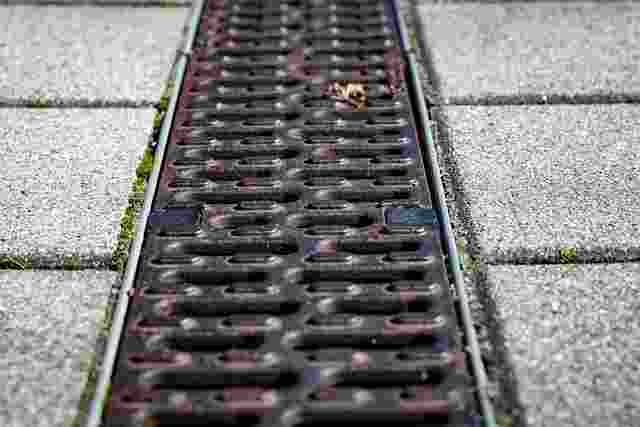 Gutter Guard Replacement Costs and Grants Explained 3 Gutter Guard Replacement Costs