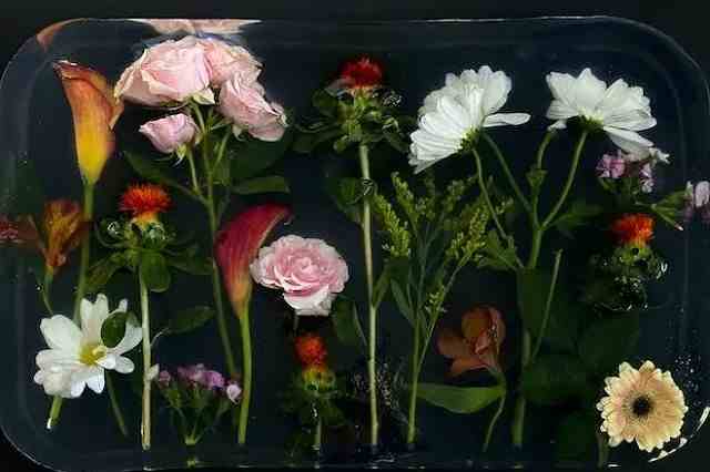 Understanding Epoxy Garage Floor Replacement