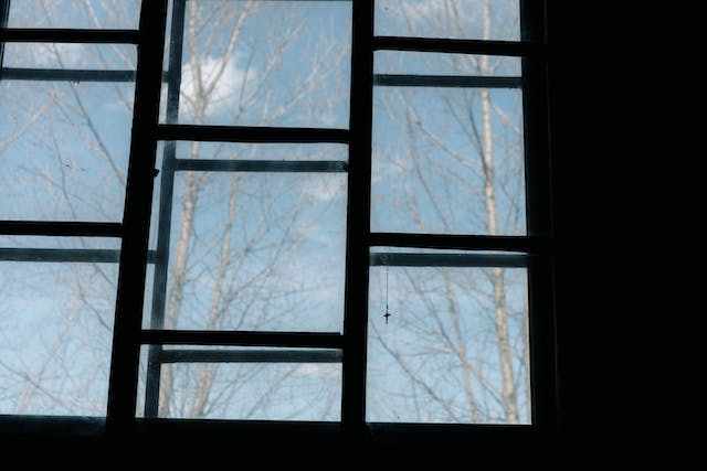 Triple Pane Windows Cost and Grants 1