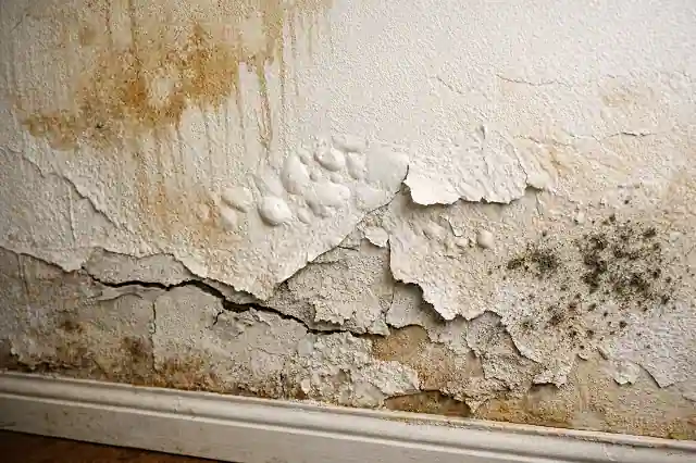water damaged interior drywall panels with stains bubbling paint and mold
